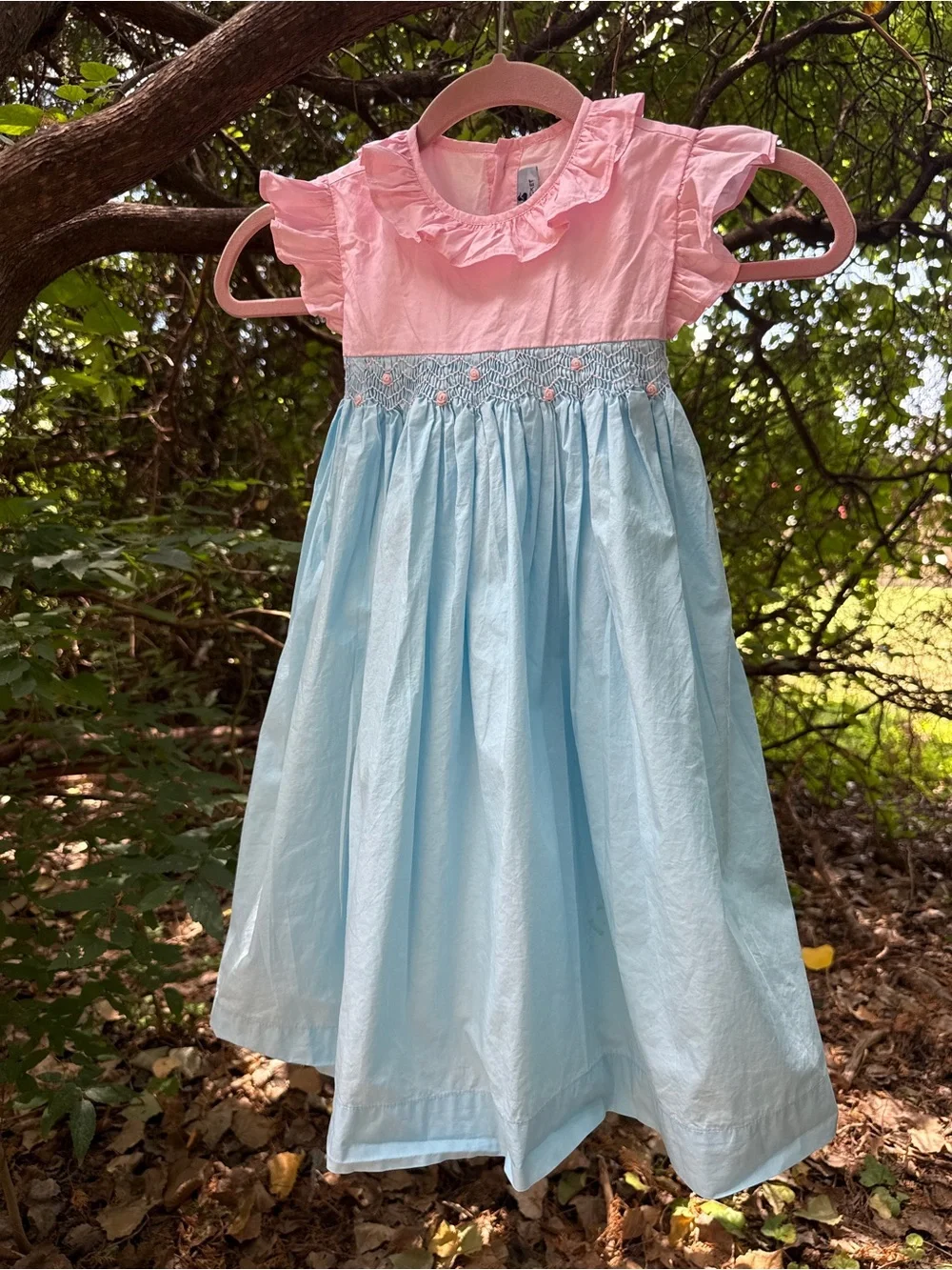 Girls Pink & Light Blue Smocked Ruffle Dress